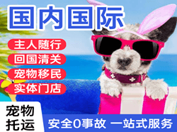 呼和浩特航空快递国际宠物托运 【国